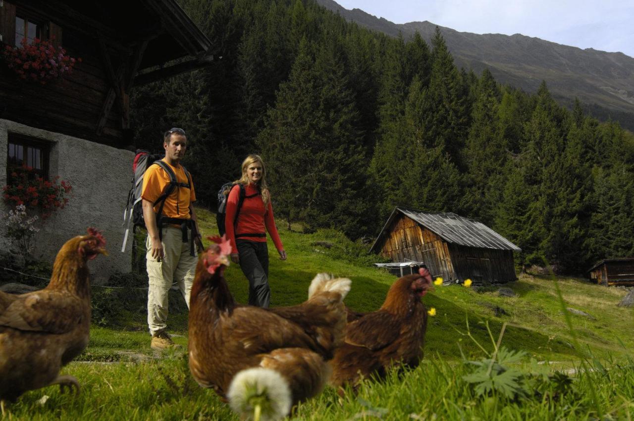 Aparthaus Camping Stubai Lägenhet Neustift im Stubaital Exteriör bild